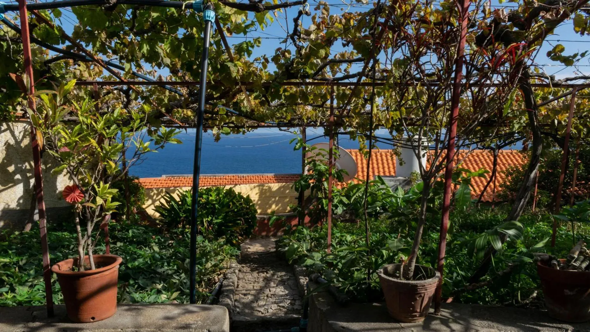 Vila Casa Do Boto Santa Cruz  Santa Cruz (Madeira)